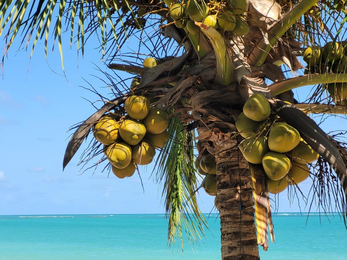 Sun Paradise - Ipioca Maceió المظهر الخارجي الصورة